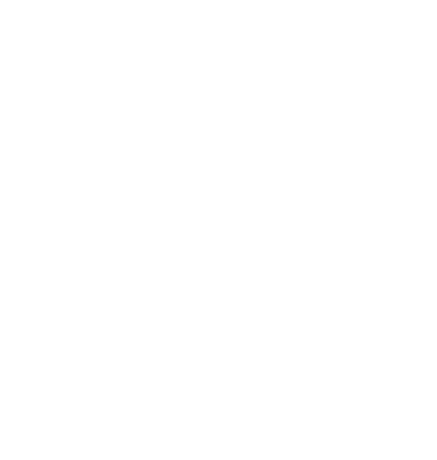 EU founded logo